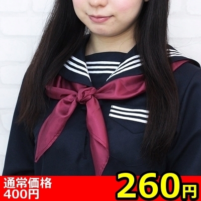 yQUO~ʌzXN[XJ[tPillP_聄iij