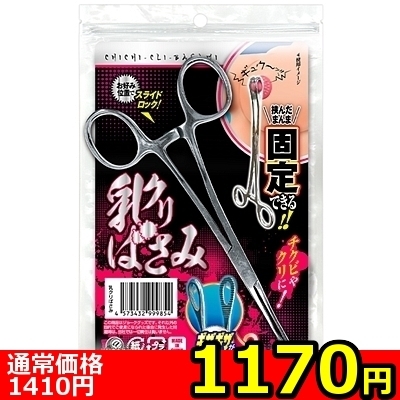 yPPVO~ʌzN΂݁llP_聄iij